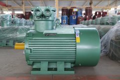 氣體防爆電機(jī)ExdIIBT4Gb的是什么意思？